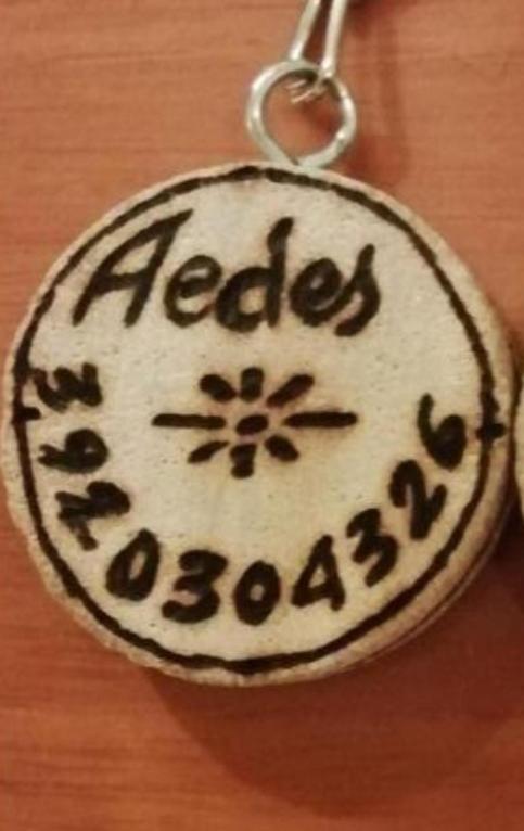Gruppo Aedes Alghero, Residenza Michelangelo - 500 Mt Dalla Spiaggia Luaran gambar